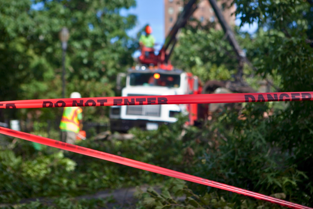 Centerpoint moves trees from yards