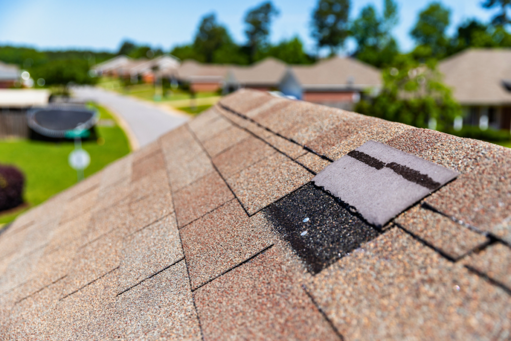 Damaged shingle on roof